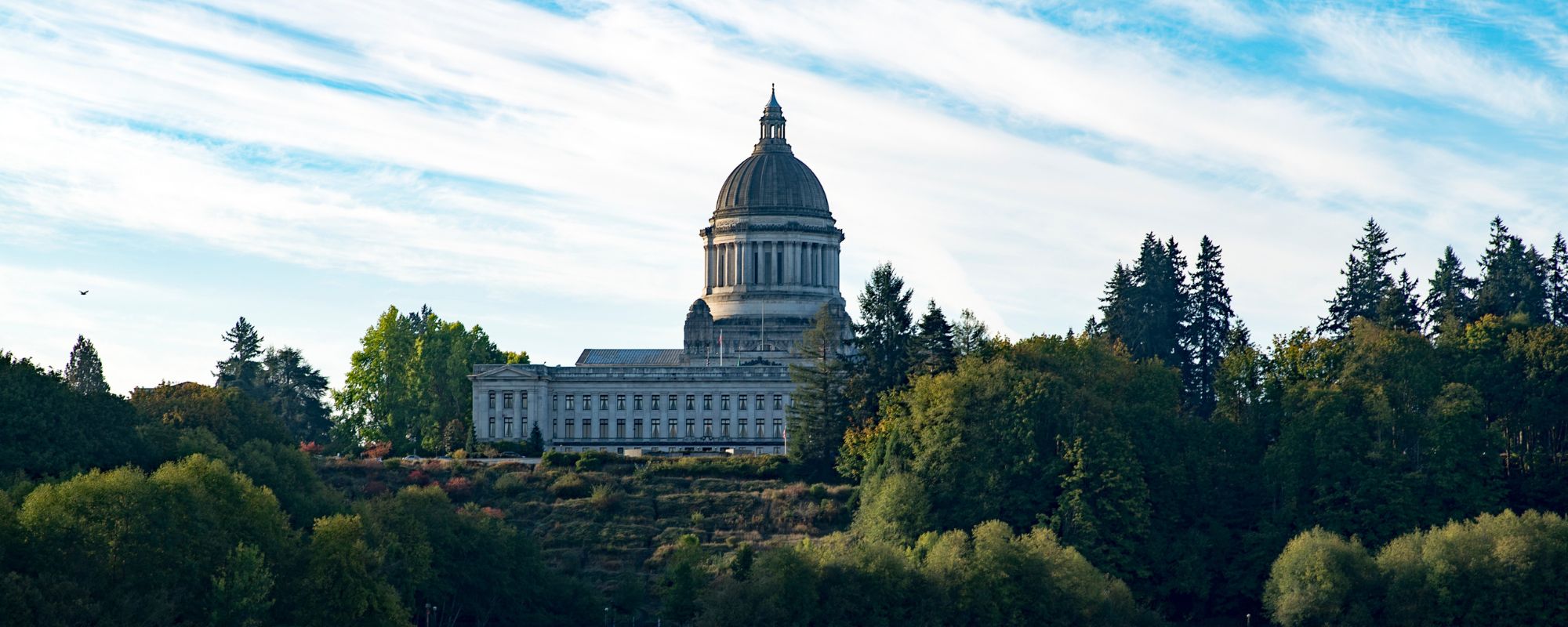 Drug and Alcohol Use in Olympia & Thurston County: Why Detox Is Often the First Step